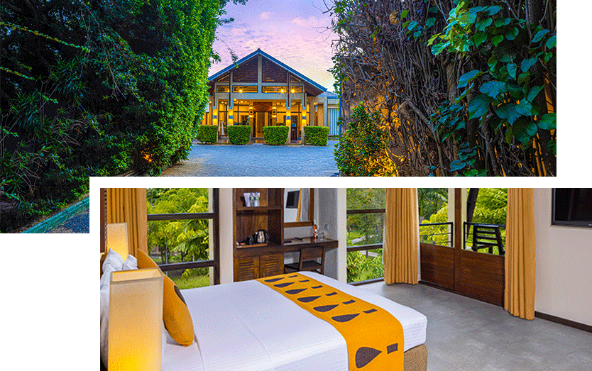 special offers at chaarya resorts & spa